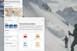 Zwei Personen mit Skistöcken wandern auf einem schneebedeckten Bergpfad. Im Vordergrund ist eine Person unscharf zu sehen, während die zweite Person weiter entfernt und scharf abgebildet ist. Im Hintergrund sind schneebedeckte Berge und ein bewölkter Himmel zu erkennen. Im linken Bildbereich sind halbtransparente Benutzeroberflächen mit Karten, Textfeldern und Symbolen eingeblendet, die Informationen zur Lawinenbeobachtung und zur Meldung von Lawinen, Wummgeräuschen, Kommentaren und Triebschnee zeigen.