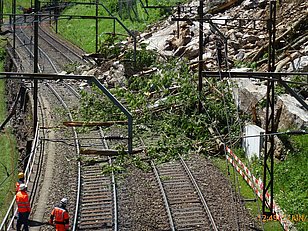 Umgestürzte Baumstämme und Geröll blockieren mehrere Gleise bei Gurtnellen, drei Arbeiter in Schutzkleidung inspizieren die Situation.