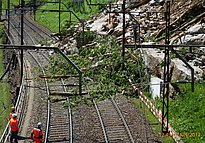 Umgestürzte Baumstämme und Geröll blockieren mehrere Gleise bei Gurtnellen, drei Arbeiter in Schutzkleidung inspizieren die Situation.